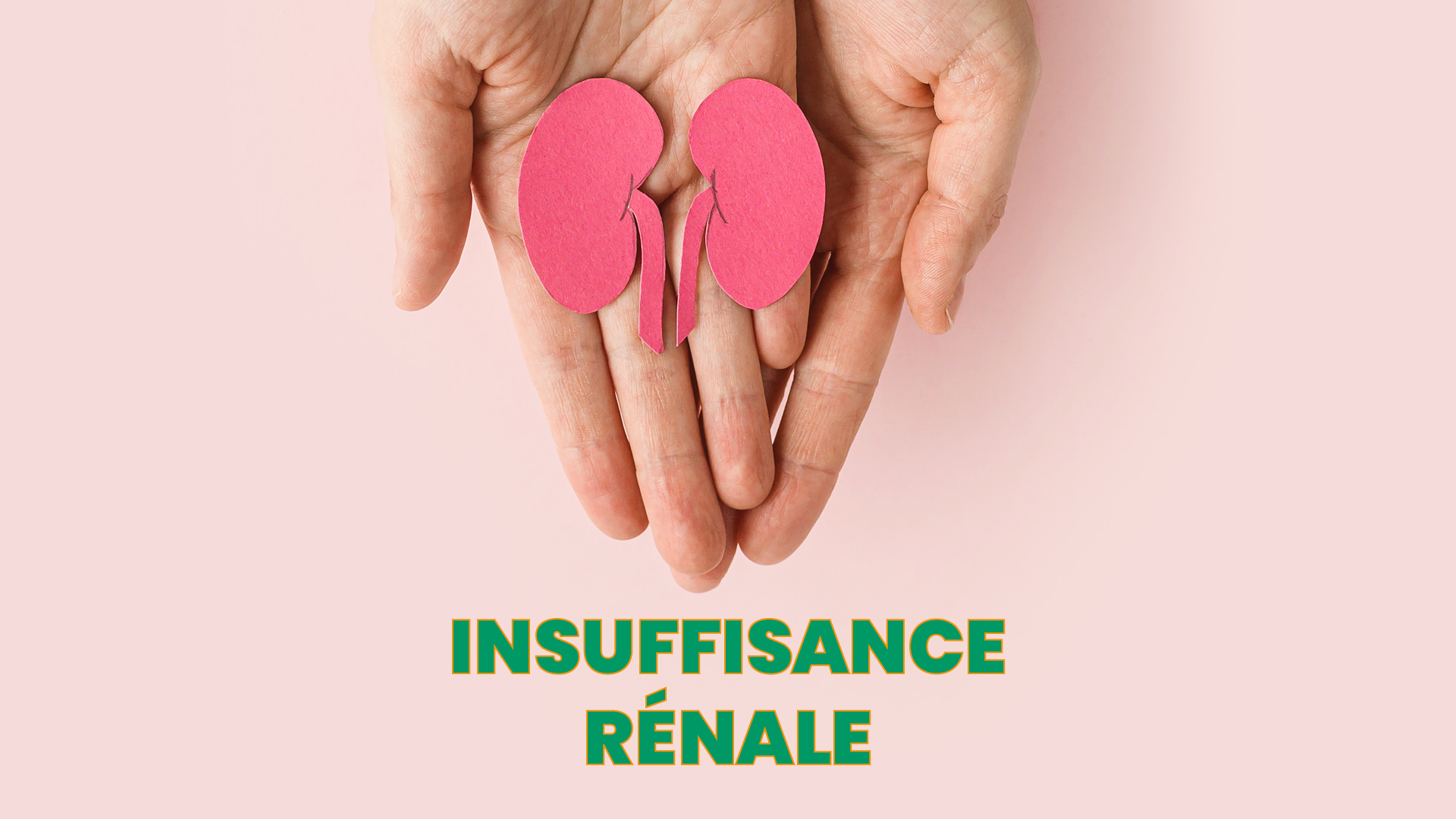 Insuffisance rénale | Le rôle des professionnels de santé en vidéo